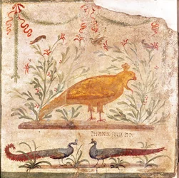 Rótulo para el thermopolium (taberna) que representa un fénix y la inscripción «Phoenix Felix et Tu», siglo I a. C.-79 d. C.
